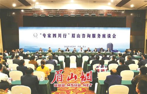 專(zhuān)家四川行 眉山咨詢服務(wù)座談會(huì)成功舉行，共繪發(fā)展新藍(lán)圖